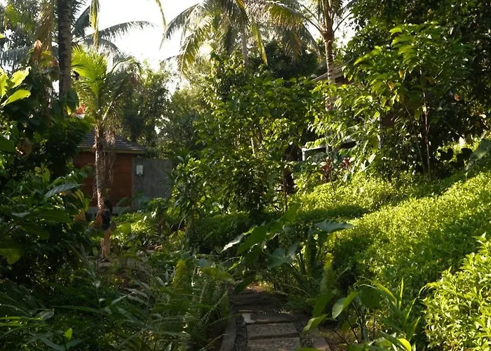 Bali Secret Jungle