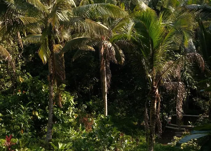 Lodge Bali Secret Jungle Selemadeg (Bali)