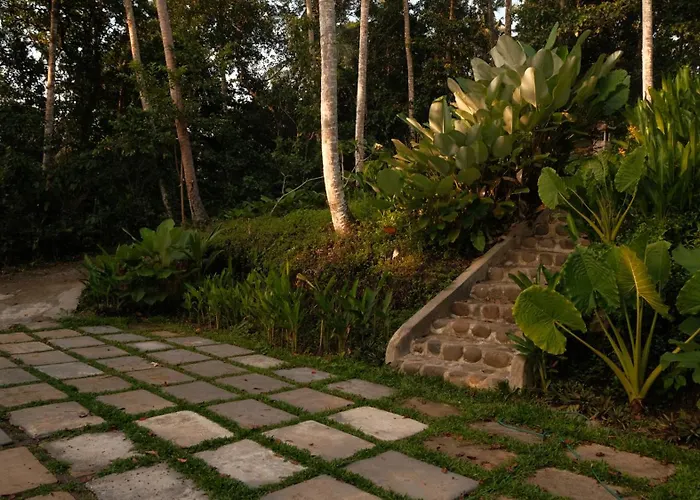 Bali Secret Jungle * Selemadeg (Bali)