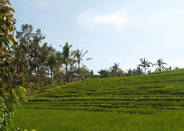 Lodge Bali Secret Jungle *