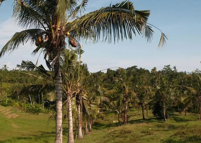 Bali Secret Jungle Selemadeg (Bali)