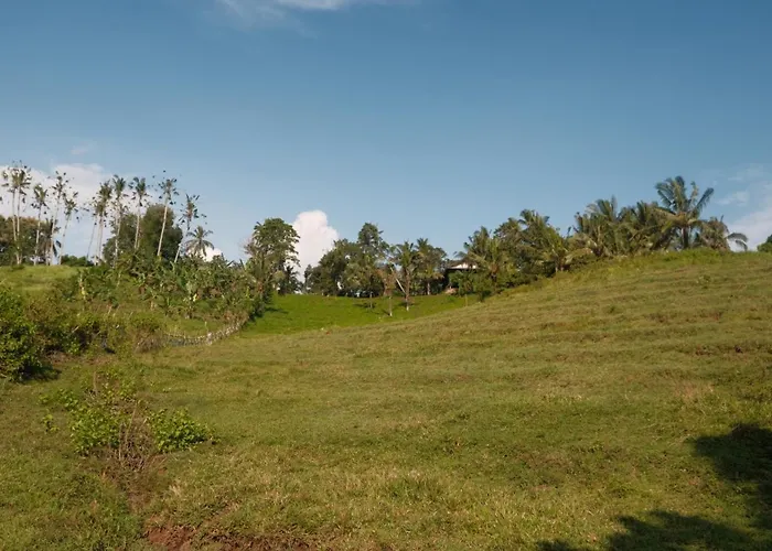 Bali Secret Jungle Lodge