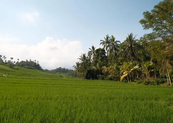 Bali Secret Jungle Lodge *