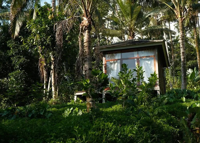 Bali Secret Jungle Lodge Selemadeg (Bali)