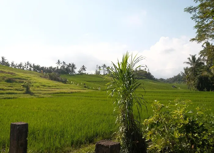 Lodge Bali Secret Jungle Selemadeg (Bali)