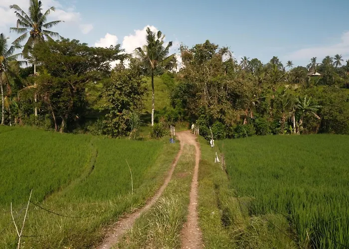 Bali Secret Jungle * Selemadeg (Bali)