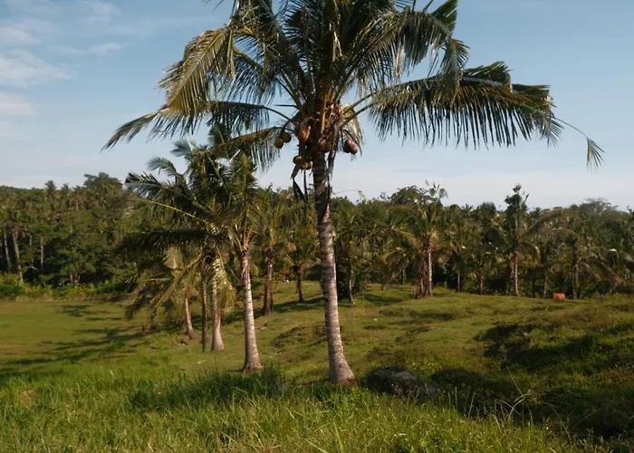 Bali Secret Jungle