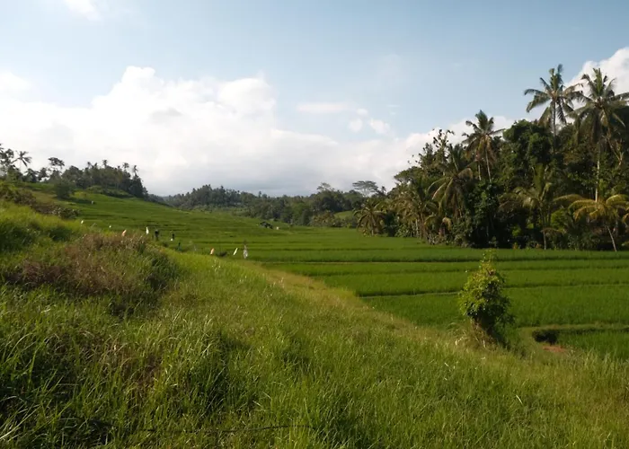 Bali Secret Jungle Lodge Selemadeg (Bali)