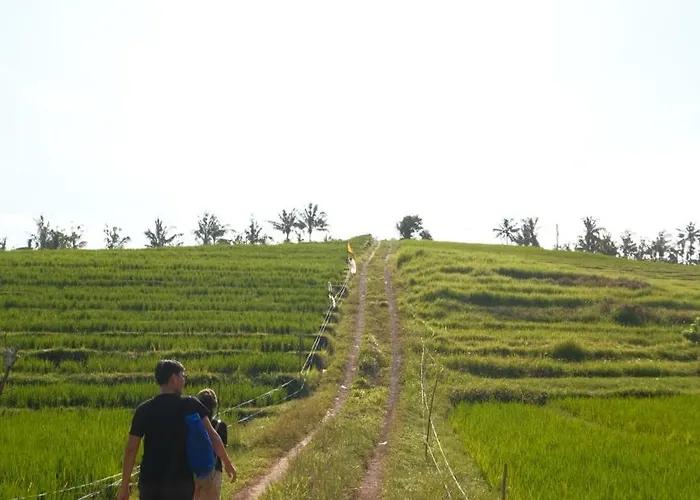 Lodge Bali Secret Jungle