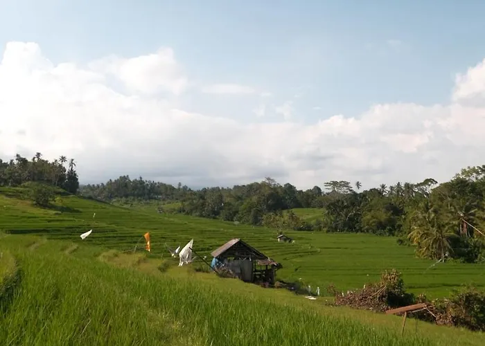 Lodge Bali Secret Jungle