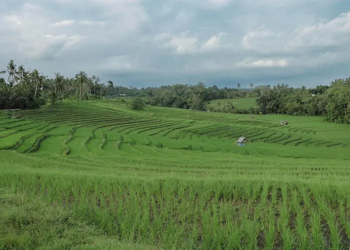Bali Secret Jungle * Selemadeg (Bali)