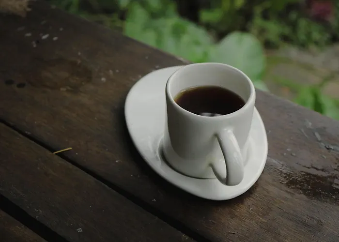 Lodge Bali Secret Jungle Selemadeg (Bali)