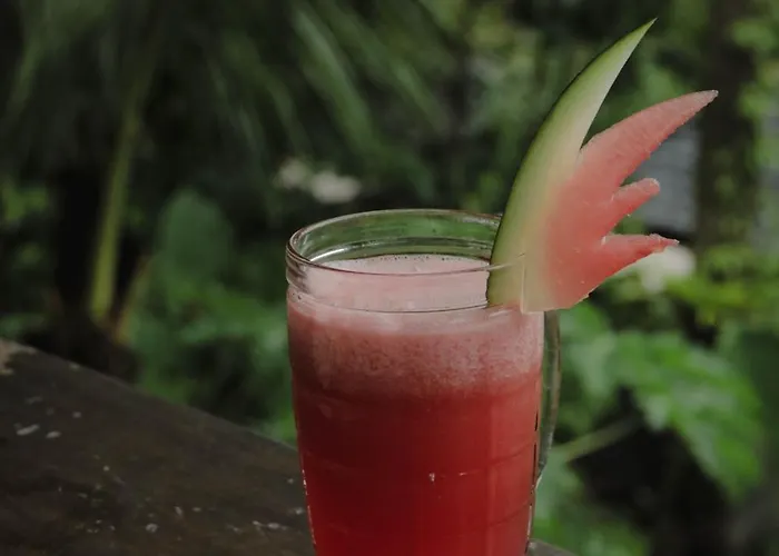 Bali Secret Jungle Lodge Selemadeg (Bali)