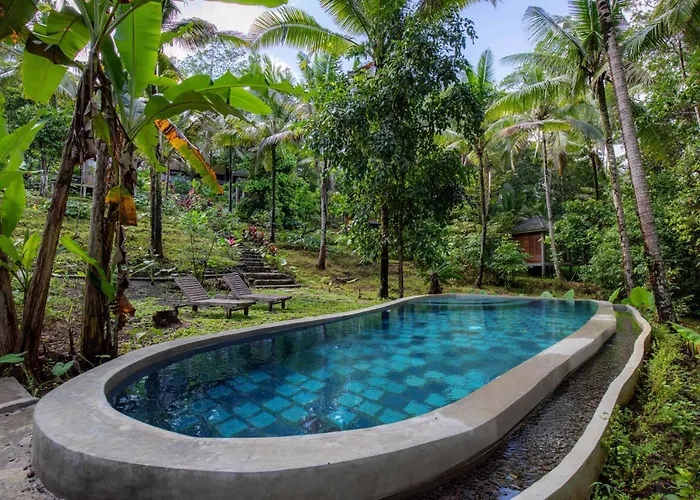 Bali Secret Jungle