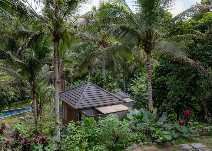 Bali Secret Jungle *