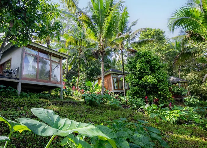 Lodge Bali Secret Jungle