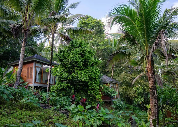 Bali Secret Jungle Lodge Selemadeg (Bali)