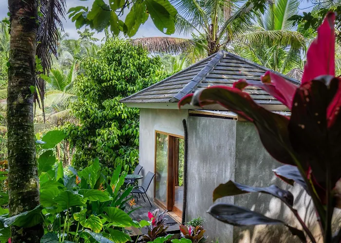 Bali Secret Jungle * Selemadeg (Bali)
