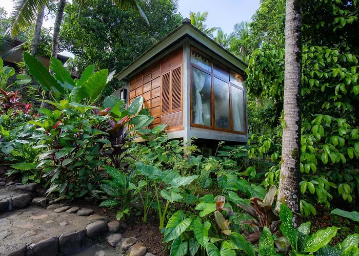 Bali Secret Jungle