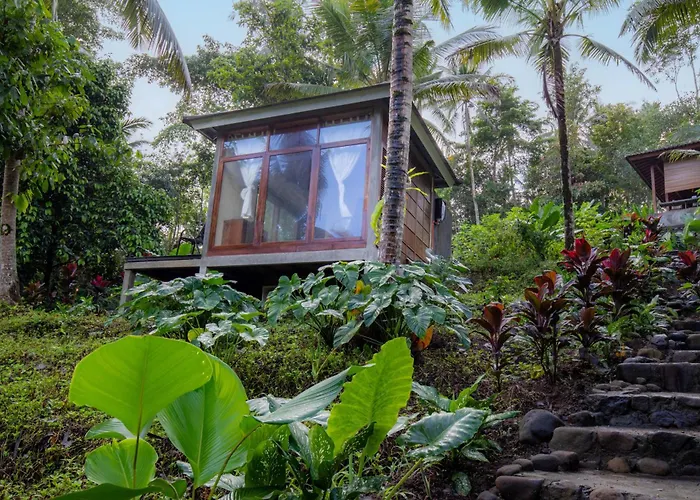 Bali Secret Jungle Selemadeg (Bali)