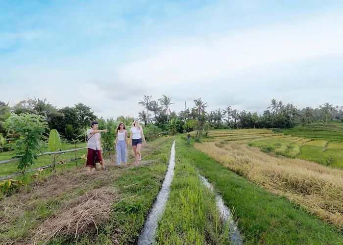 Bali Secret Jungle