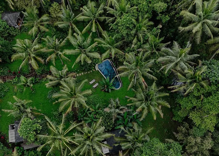 Bali Secret Jungle *