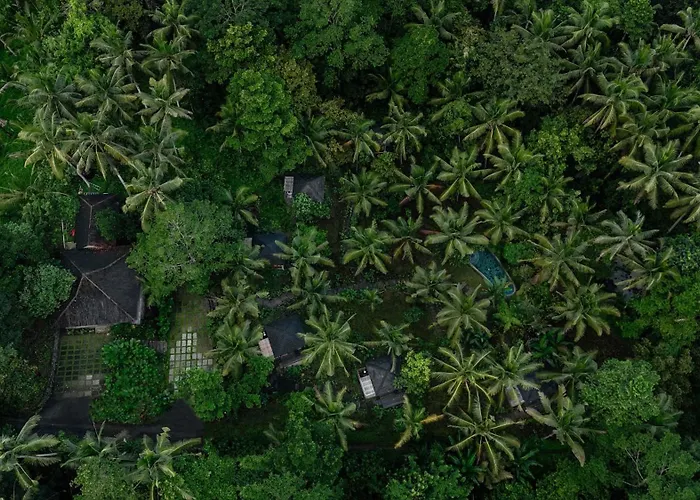 Lodge Bali Secret Jungle *