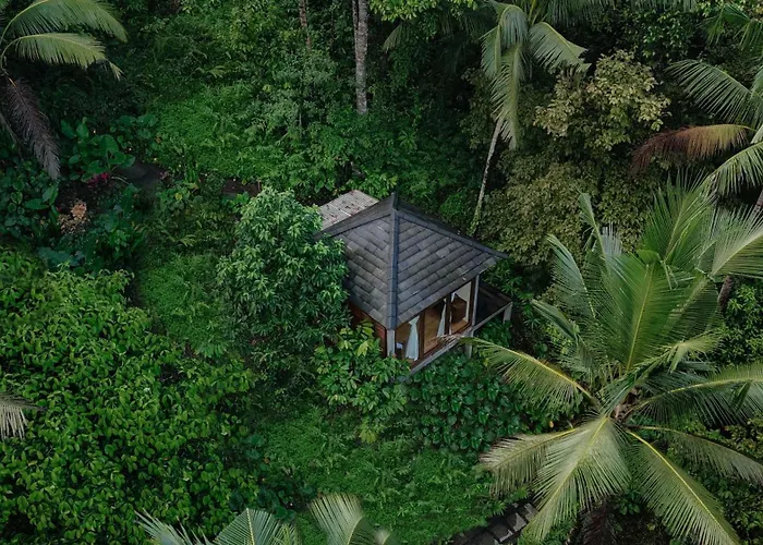 Bali Secret Jungle Lodge Selemadeg (Bali)