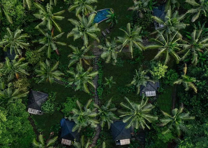 Bali Secret Jungle Selemadeg (Bali)